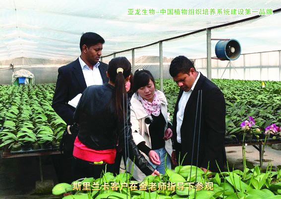 济南亚龙生物科技有限公司