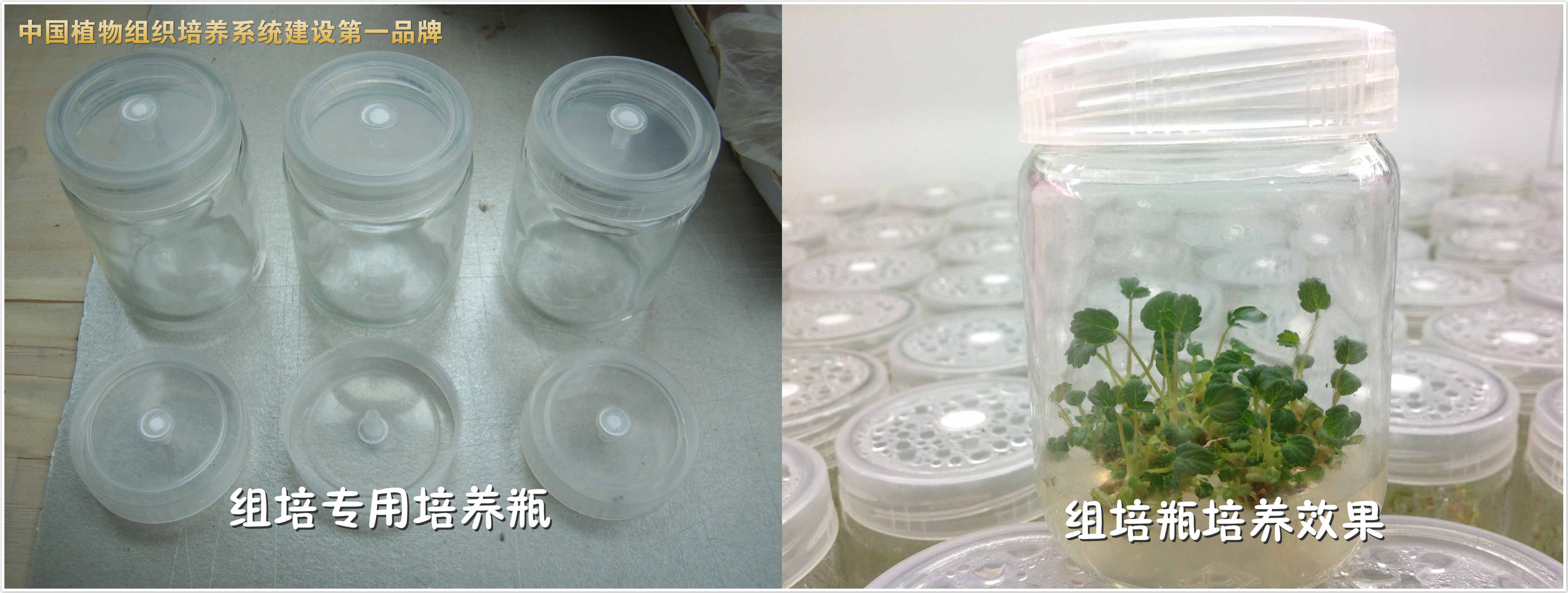 济南亚龙生物科技有限公司