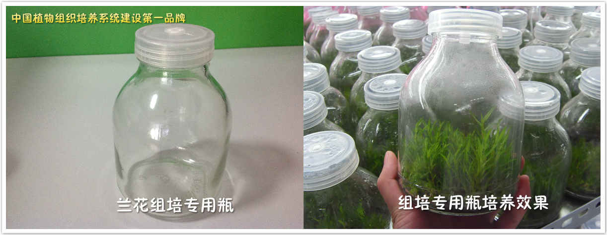 济南亚龙生物科技有限公司