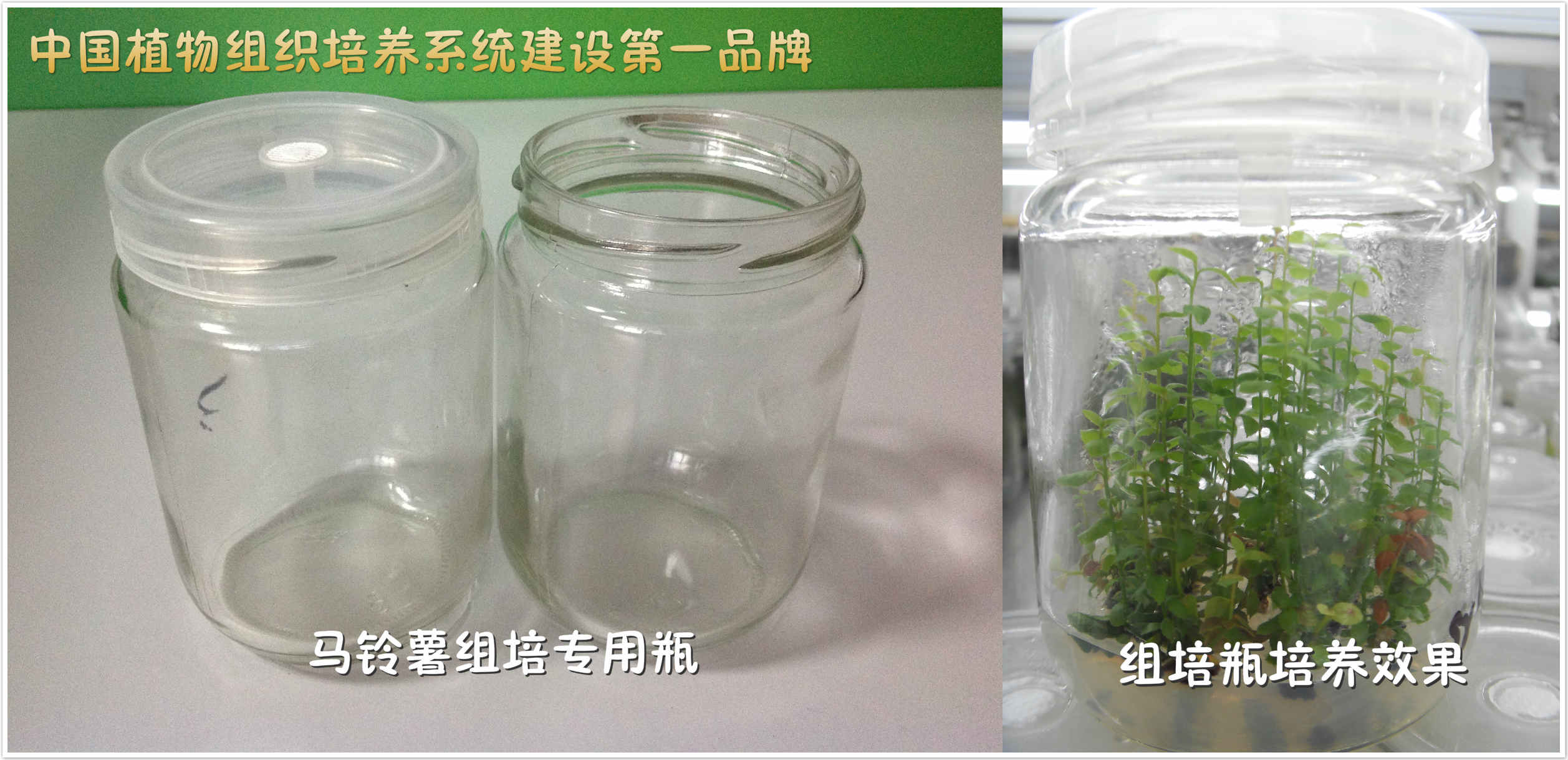 济南亚龙生物科技有限公司