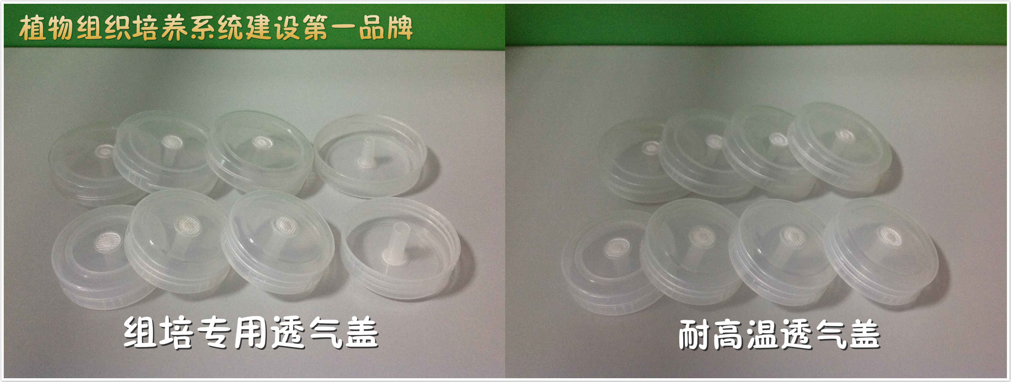 济南亚龙生物科技有限公司