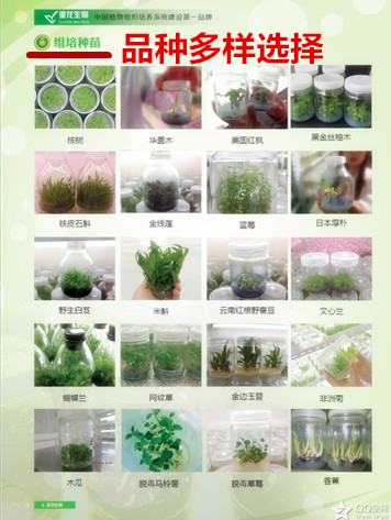 济南亚龙生物科技有限公司