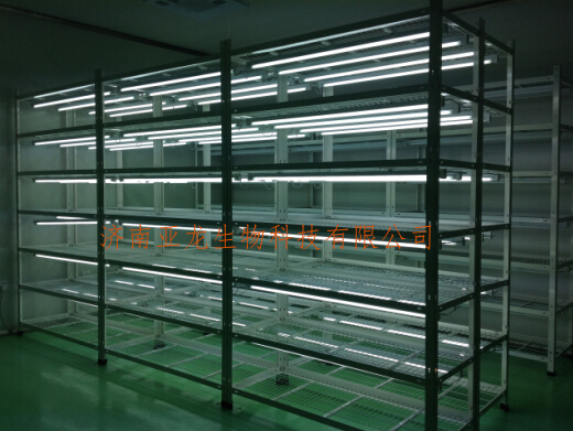 济南亚龙生物组培工程项目