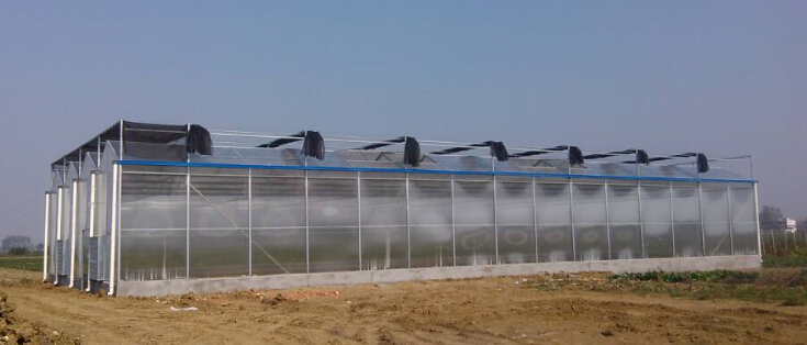 济南亚龙组培工程项目