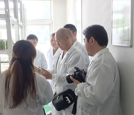 亚龙组培研发中心